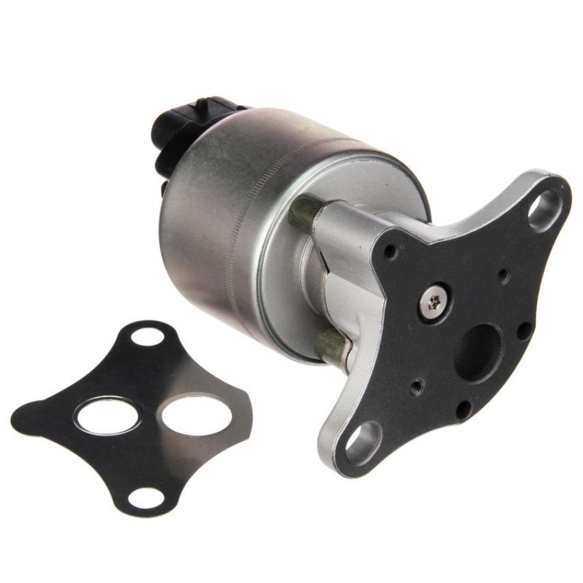 DELPHI EG10311 EGR Valve
