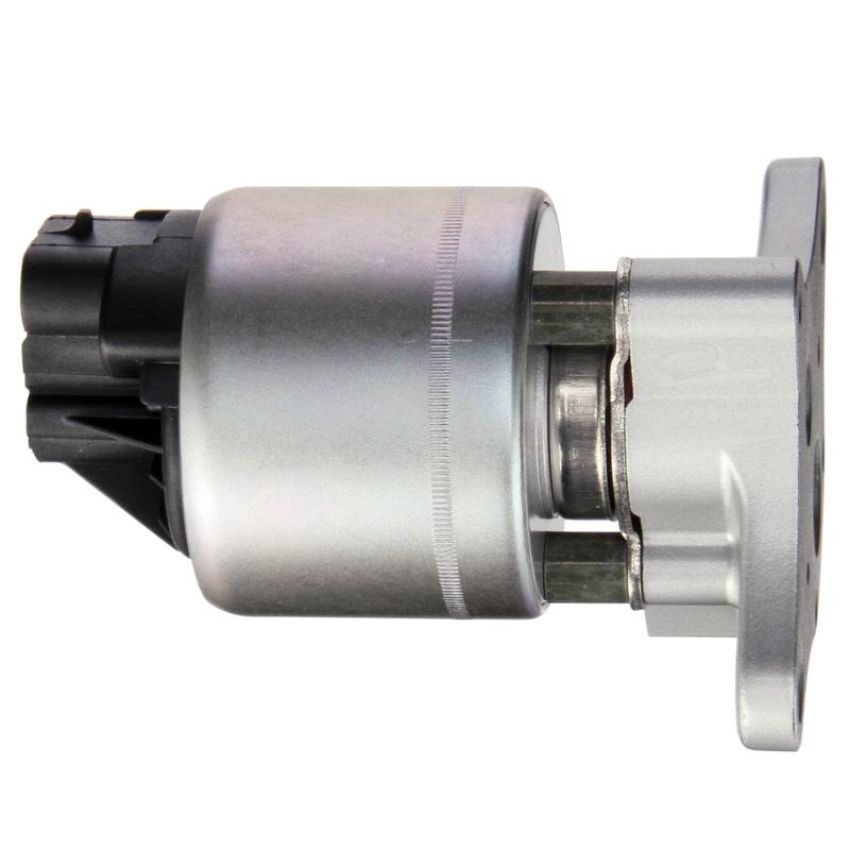 DELPHI EG10311 EGR Valve