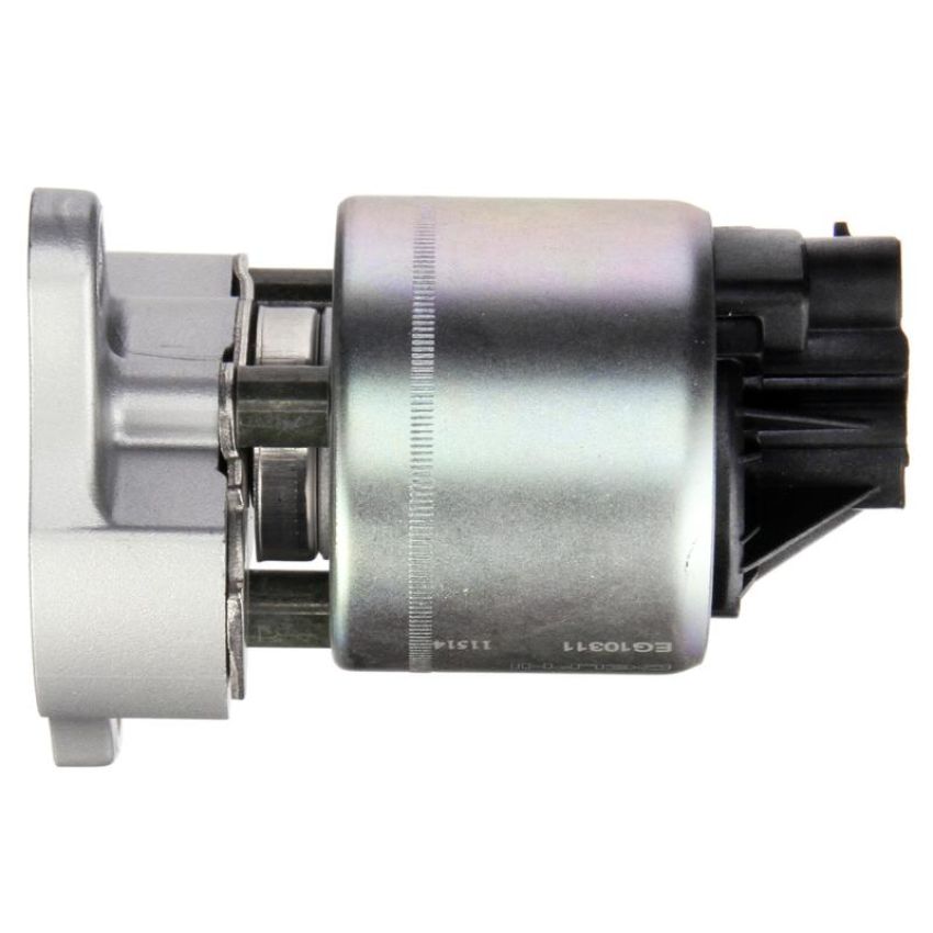 DELPHI EG10311 EGR Valve