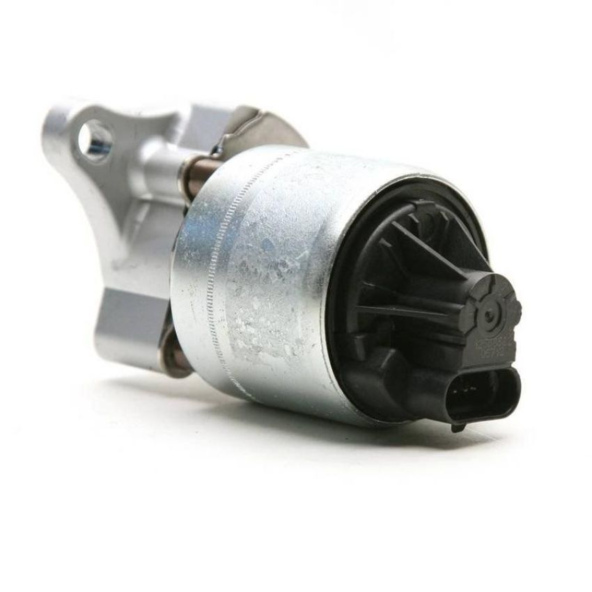 DELPHI EG10311 EGR Valve