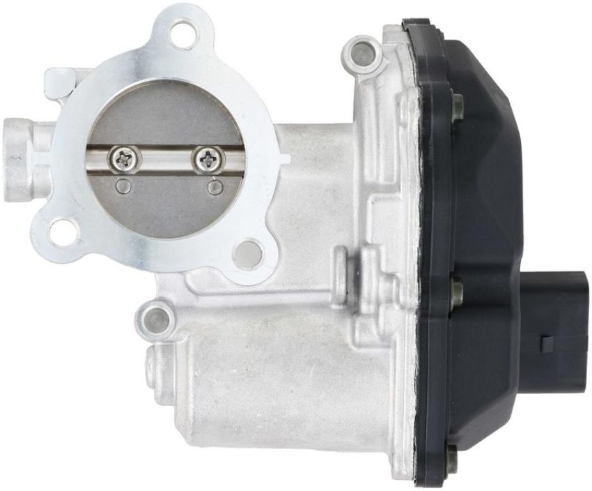 DELPHI EG10489 EGR Valve