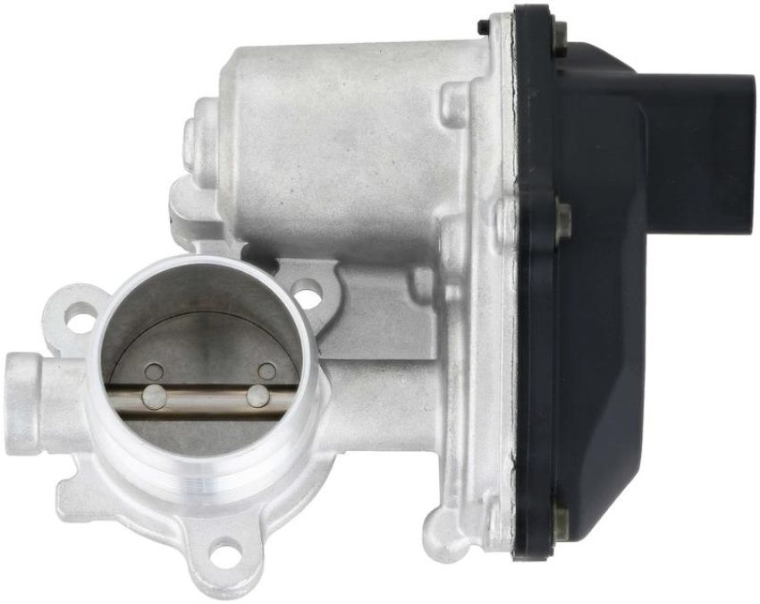 DELPHI EG10489 EGR Valve