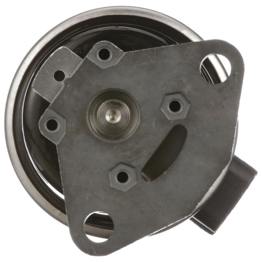 DELPHI EG10499 EGR Valve