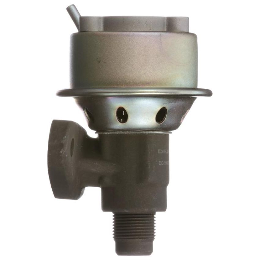 DELPHI EG10502 EGR Valve