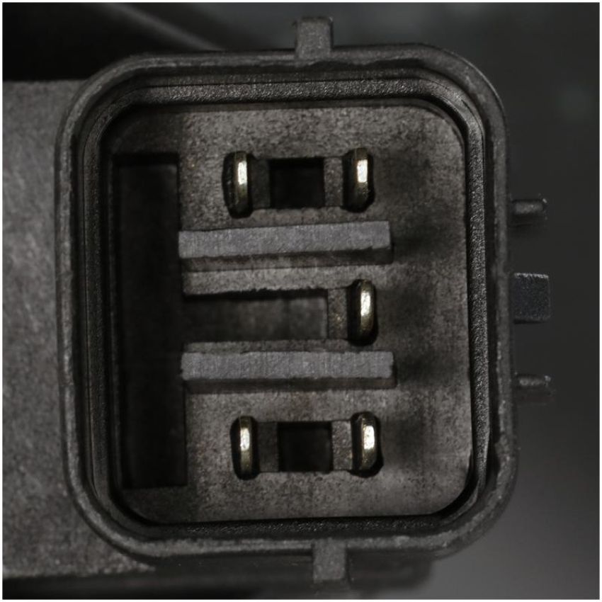 DELPHI EG10505 EGR Valve