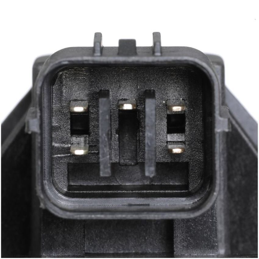 DELPHI EG10519 EGR Valve