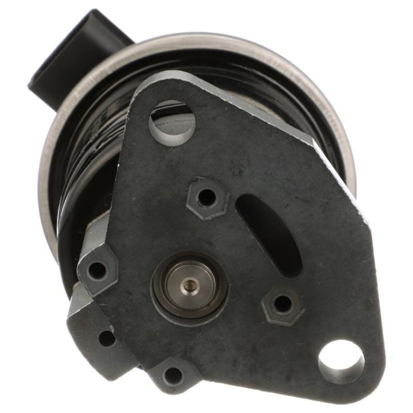 DELPHI EG10519 EGR Valve