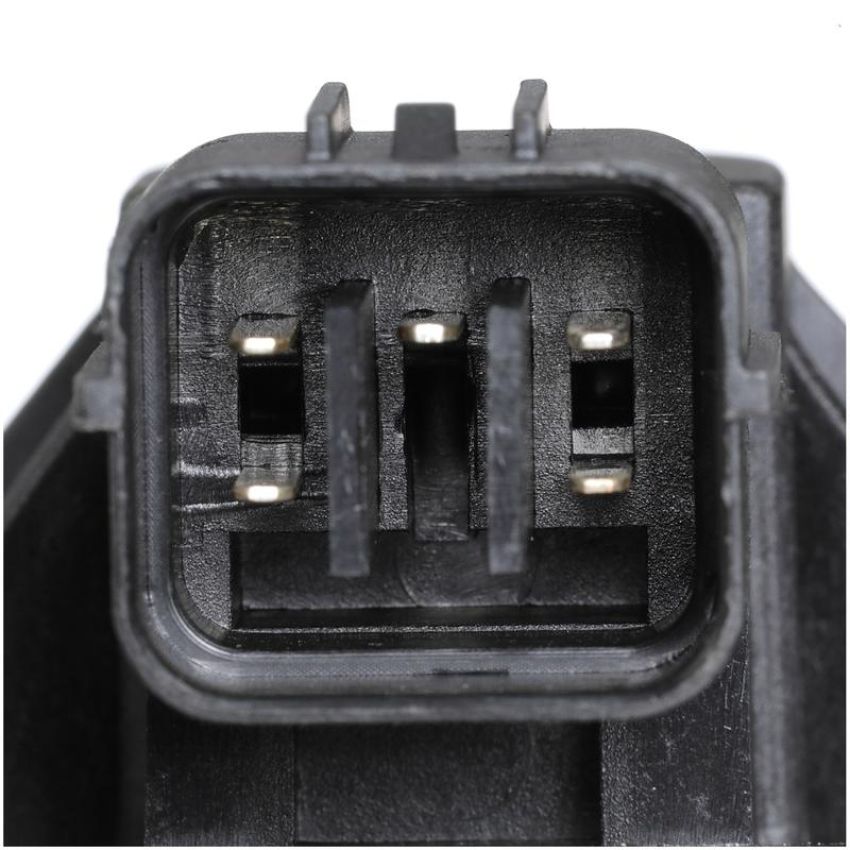 DELPHI EG10541 EGR Valve