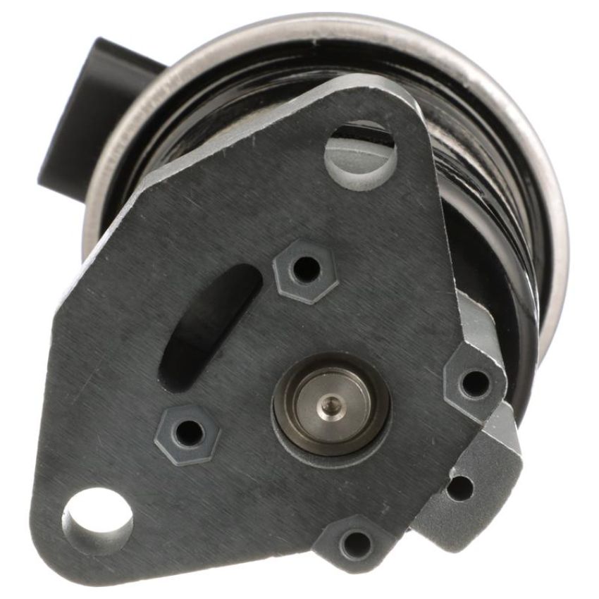 DELPHI EG10541 EGR Valve