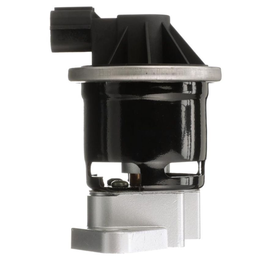 DELPHI EG10541 EGR Valve