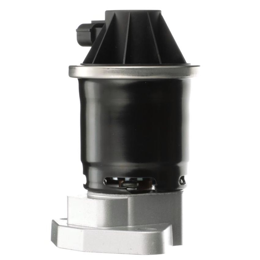 DELPHI EG10599 EGR Valve