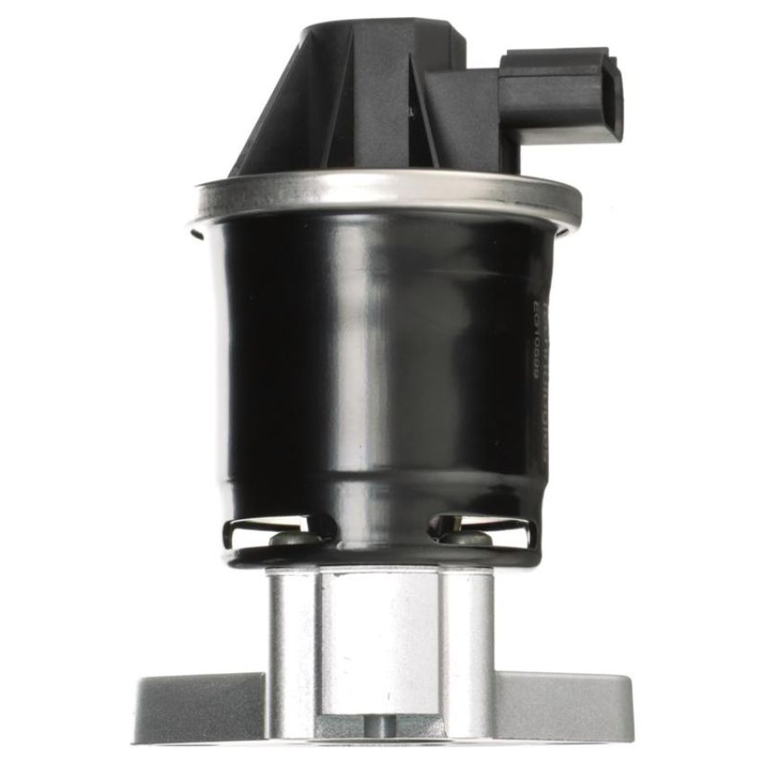 DELPHI EG10599 EGR Valve