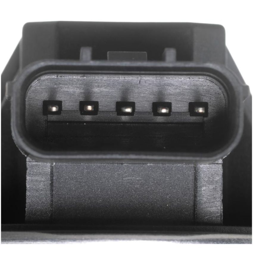 DELPHI EG10599 EGR Valve