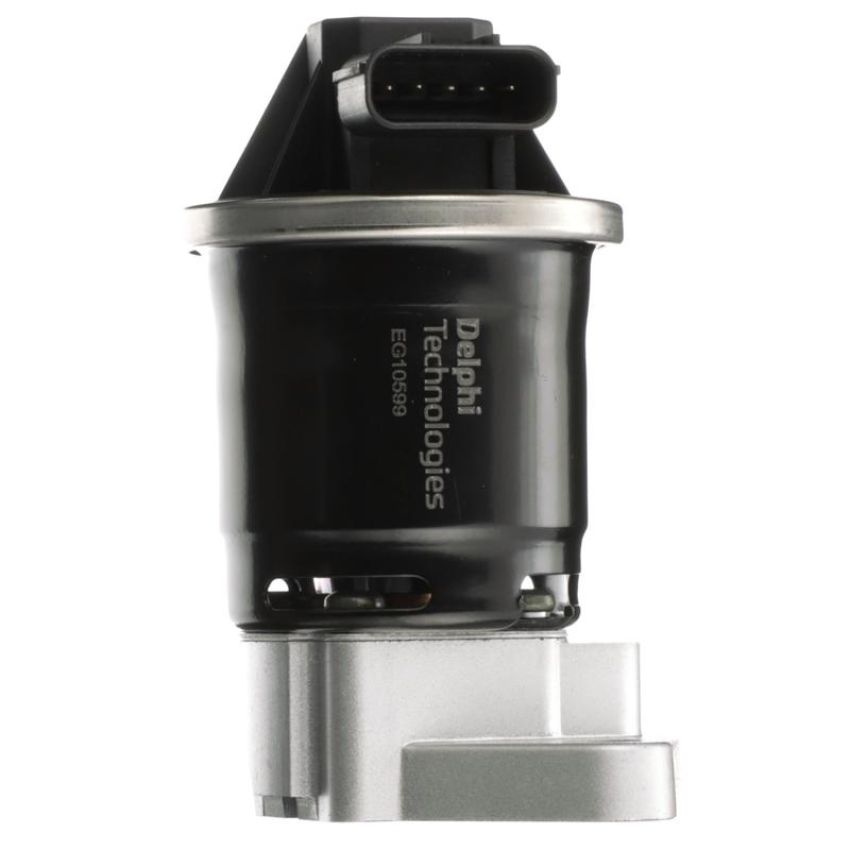 DELPHI EG10599 EGR Valve