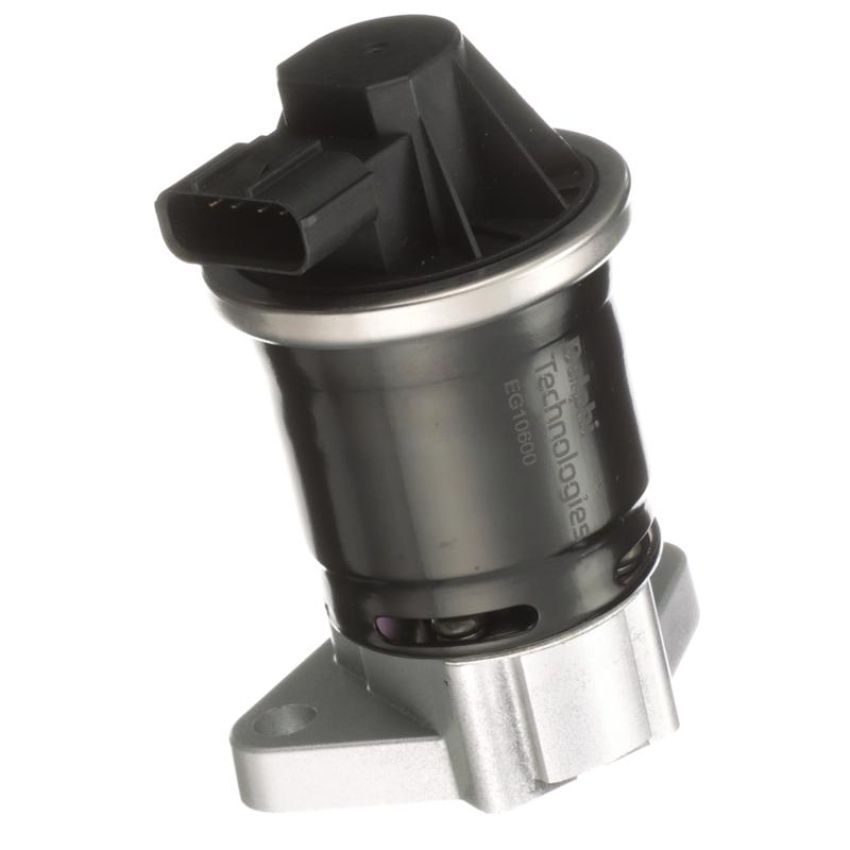 DELPHI EG10600 EGR Valve