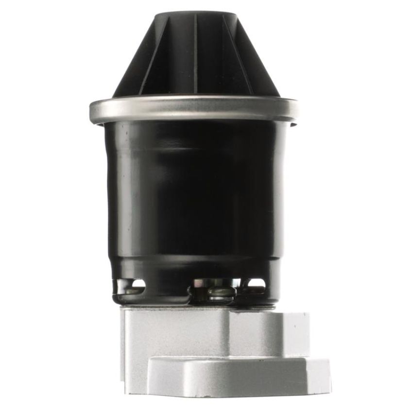 DELPHI EG10600 EGR Valve