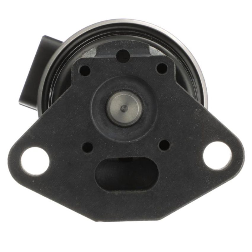 DELPHI EG10600 EGR Valve