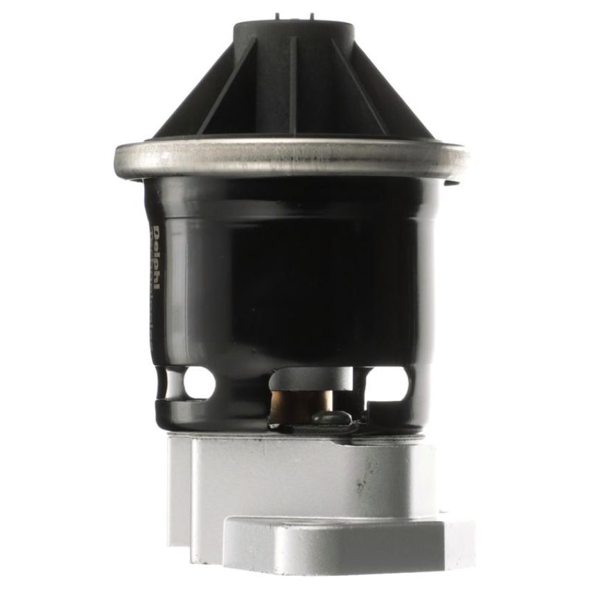 DELPHI EG10601 EGR Valve