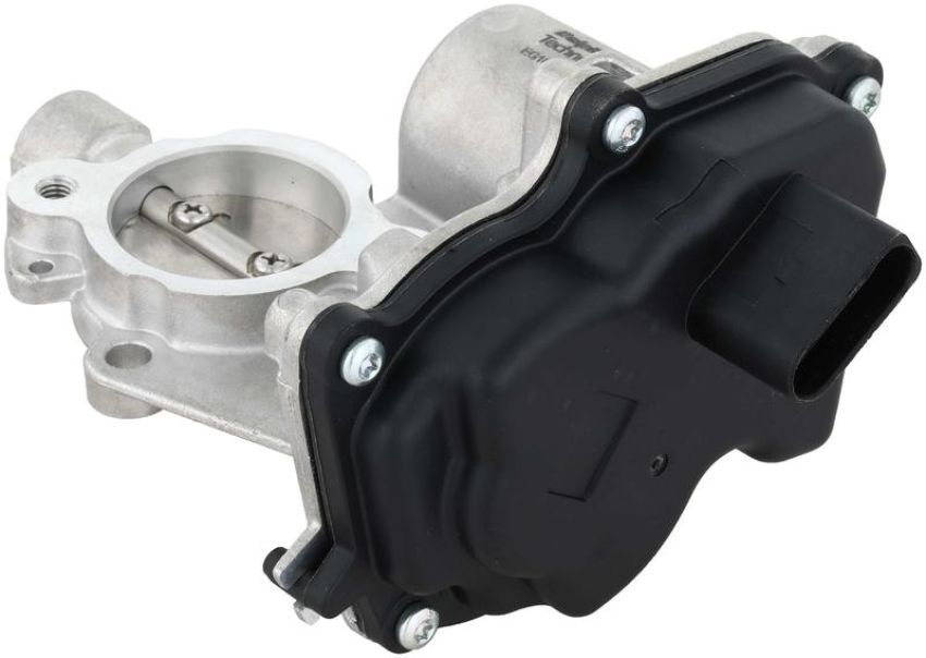 DELPHI EG10610 EGR Valve