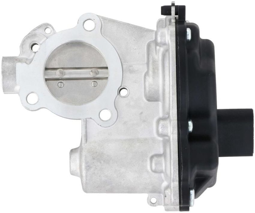 DELPHI EG10610 EGR Valve