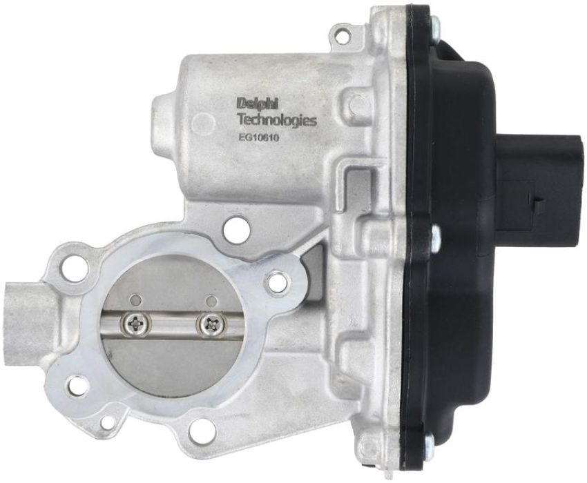 DELPHI EG10610 EGR Valve