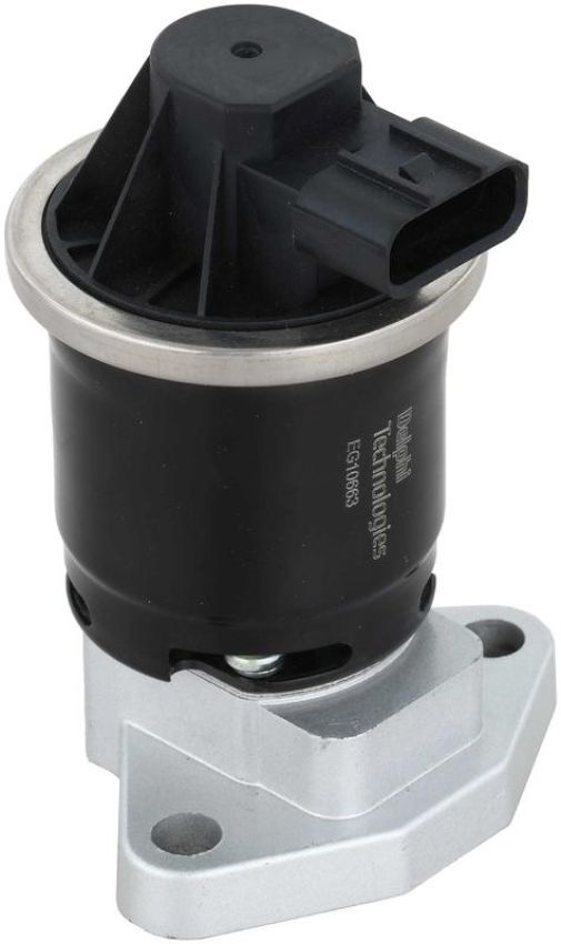 DELPHI EG10663 EGR Valve