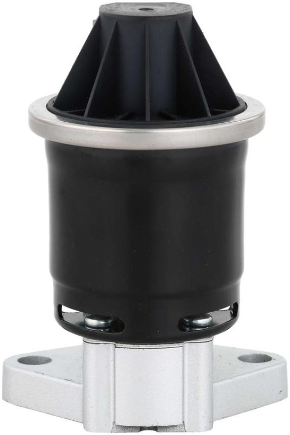 DELPHI EG10663 EGR Valve