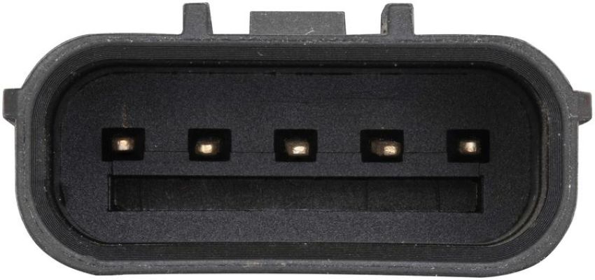 DELPHI EG10663 EGR Valve