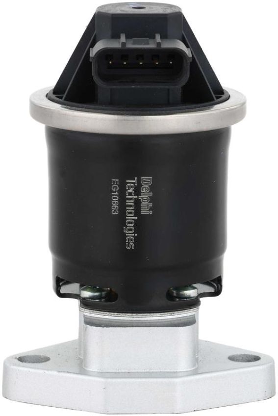 DELPHI EG10663 EGR Valve