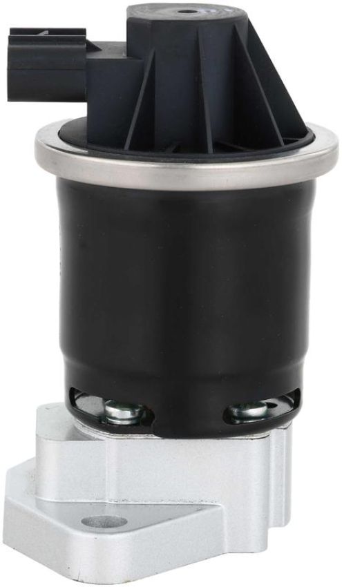 DELPHI EG10663 EGR Valve