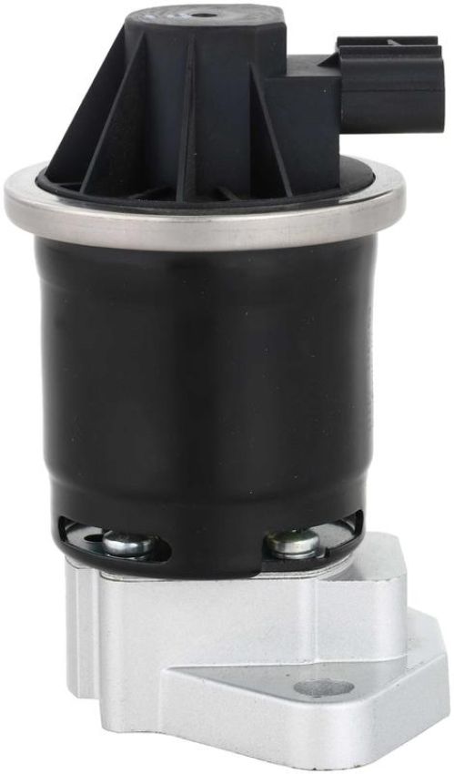 DELPHI EG10663 EGR Valve