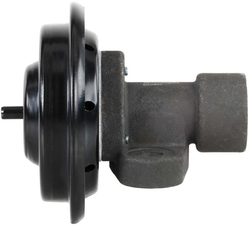 DELPHI EG10664 EGR Valve