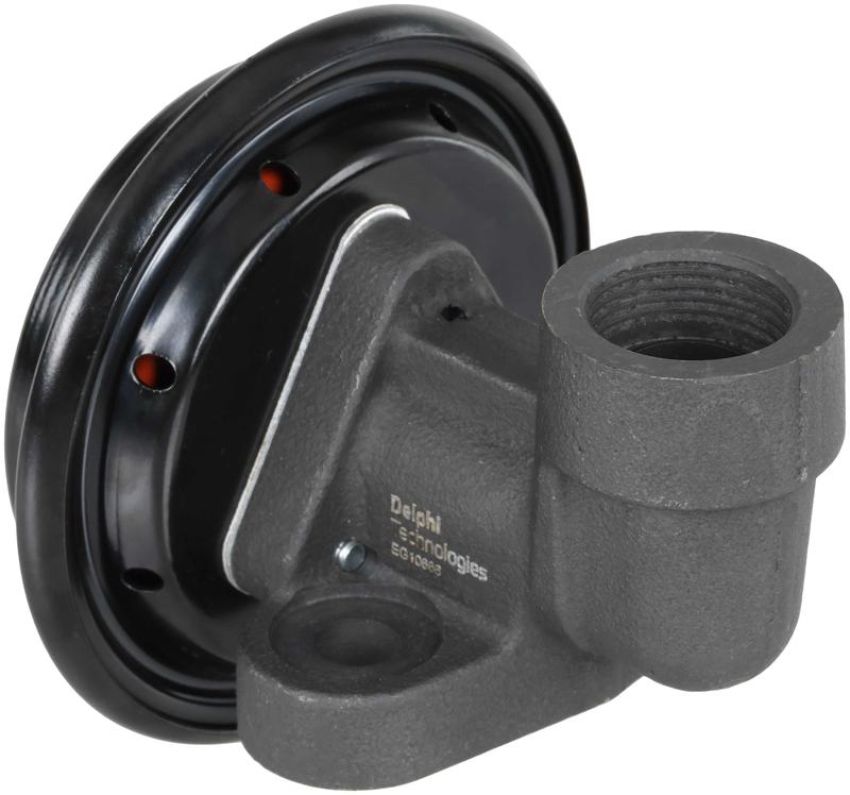 DELPHI EG10666 EGR Valve