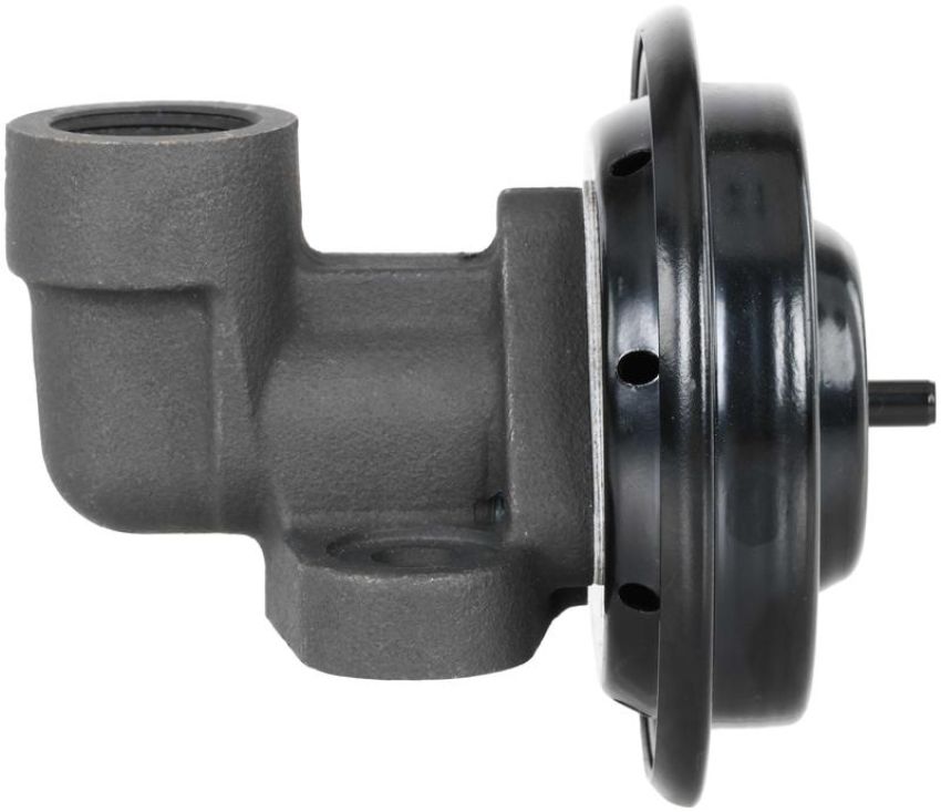 DELPHI EG10666 EGR Valve