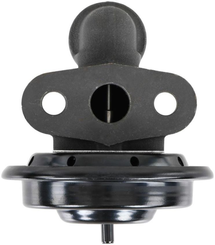 DELPHI EG10666 EGR Valve