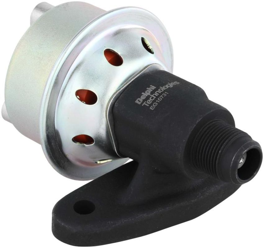 DELPHI EG10731 EGR Valve