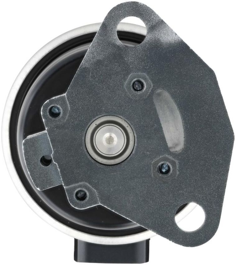 DELPHI EG10736 EGR Valve
