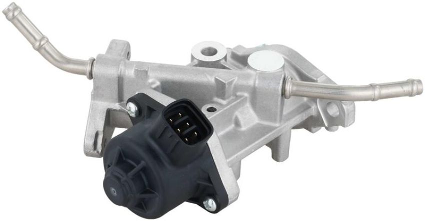 DELPHI EG10738 EGR Valve