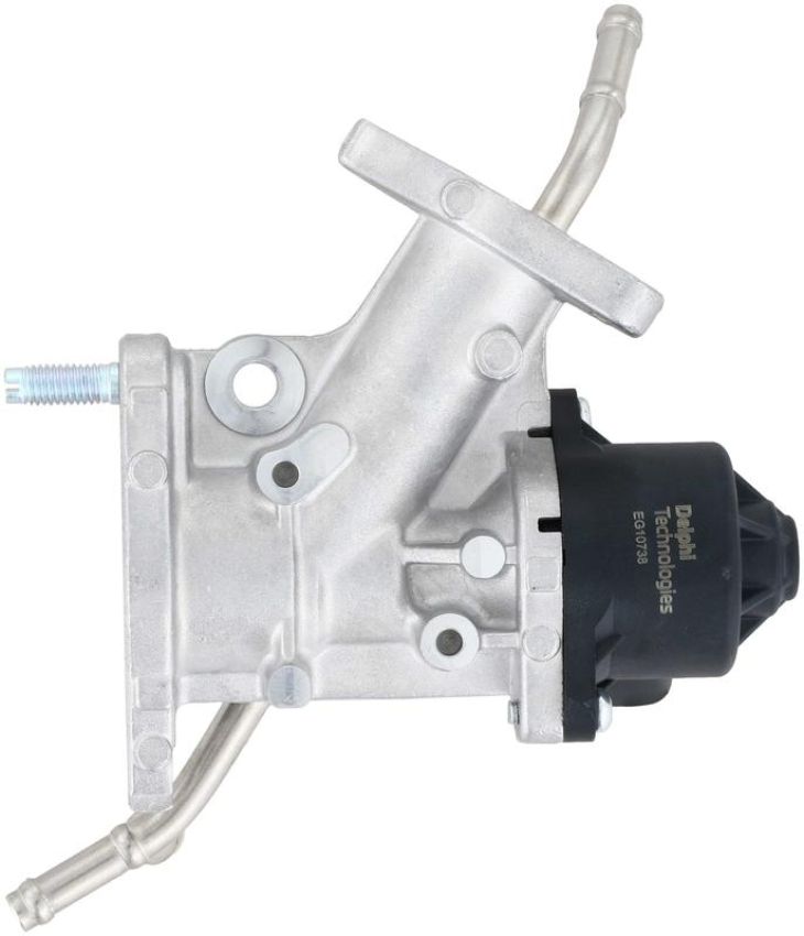 DELPHI EG10738 EGR Valve