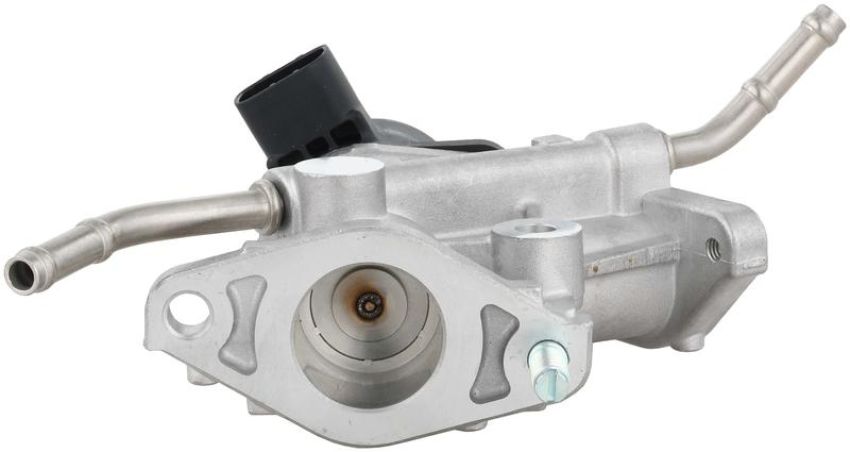 DELPHI EG10738 EGR Valve