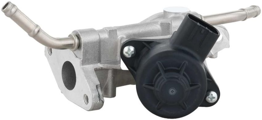 DELPHI EG10738 EGR Valve