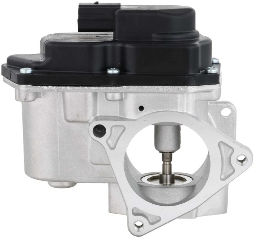 DELPHI EG10743 EGR Valve