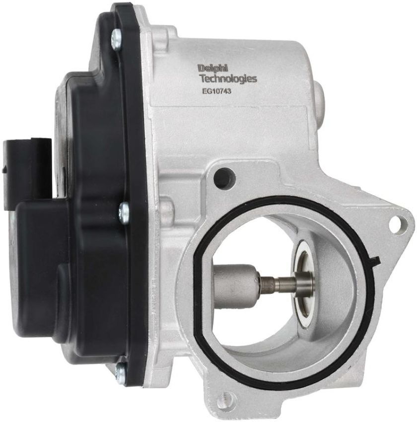 DELPHI EG10743 EGR Valve