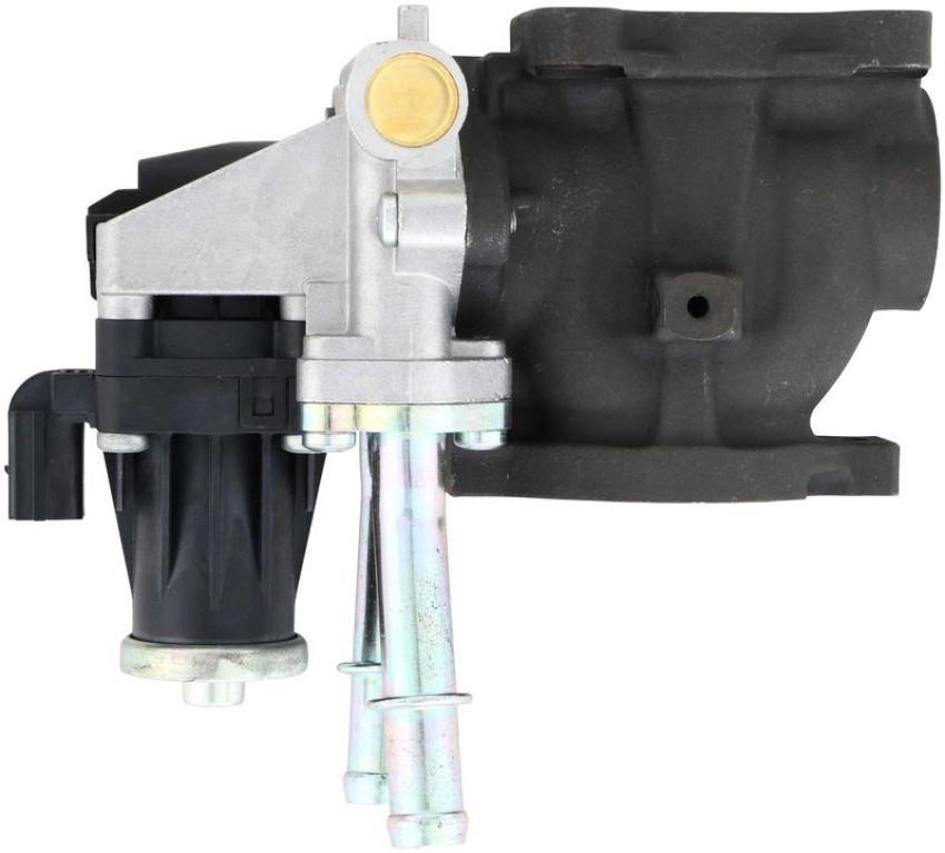 DELPHI EG10772 EGR Valve