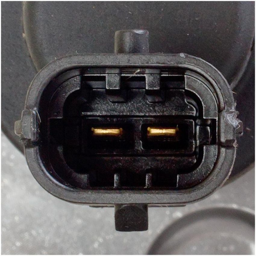 DELPHI EX631050 Fuel Injection Pump
