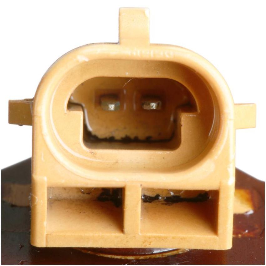 DELPHI EX639349 Fuel Injector