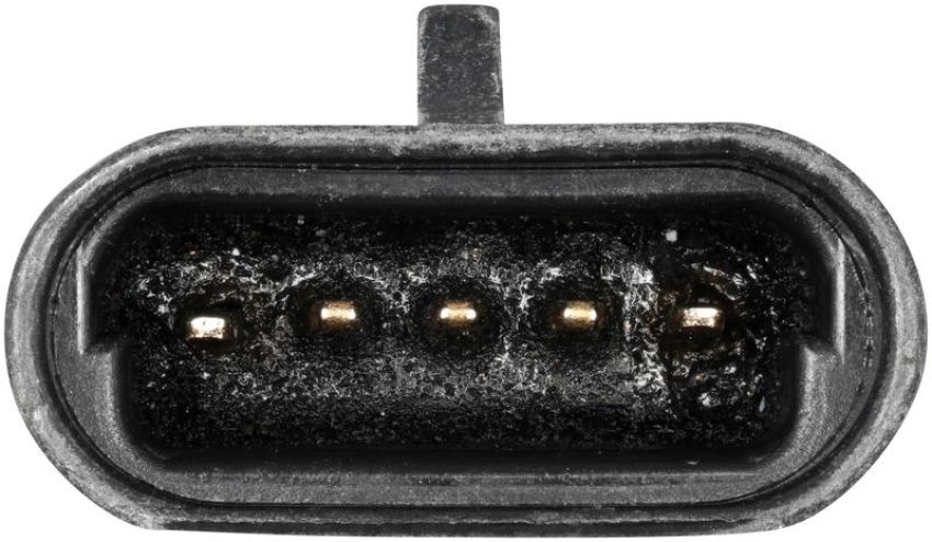 DELPHI EXHTV105 EGR Valve