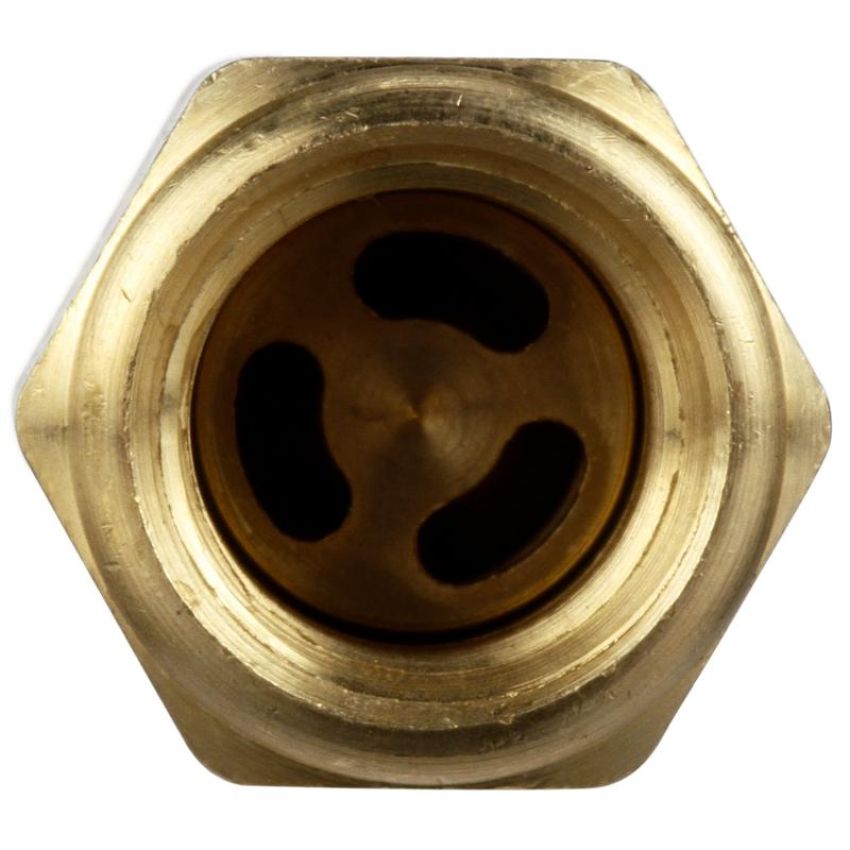DELPHI FA10016 Fuel Pump Check Valve