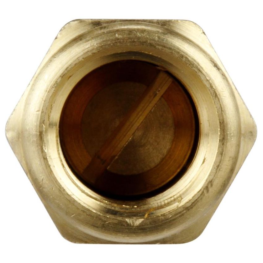 DELPHI FA10016 Fuel Pump Check Valve