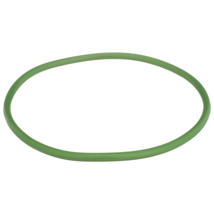 DELPHI FA10029 Fuel Pump Tank Seal